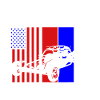 Dune Buggy Beach Buggy