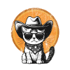 Cowboy Cat