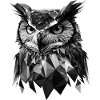 Polygon-Eule in Schwarz-Weiß – Vogelkunst
