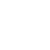 Thunder white logo