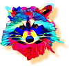 Rainbow Raccoon
