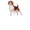 Beagle Geschenk Beagle Besitzer