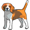 Beagle Dog T Shirt