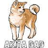 Akita Papa T-shirt