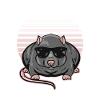 Rat