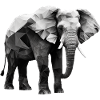 ÉLÉPHANT