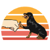 Rottweiler dog breed