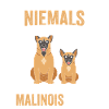 Malinois Hund Tierliebhaber