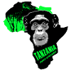 Tanzanie - Chimpanzés