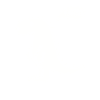 Dinosaur