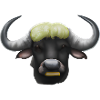 Cute drawn buffalo