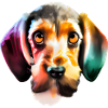 Colourful dachshund