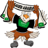 Saudi Arabia Eagle