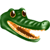 Beautifully drawn crocodile head