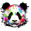 Bunter Panda