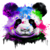 Bunter Panda
