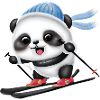 Ski Panda