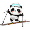 Ski Panda
