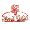 Steel Cats Neon