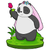 Panda Bride Rose Wedding