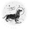 Space Dog