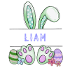 Easter Bunny, rabbit, cute - Liam