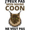 Maine COON 2