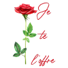 Je te l'offre : Rose rouge