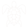 Turtle Lineart