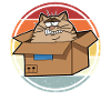 Cat in a box