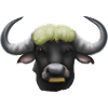 Cute drawn buffalo