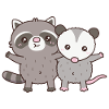 Cute Raccoon And Opossum Besties
