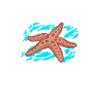 Starfish Shirt
