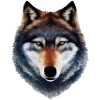 Wolf power