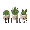 Free Hugs - Cactus, funny saying
