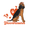 Bloodhound Dog Bloodhound