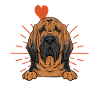 Bloodhound Dog Bloodhound