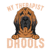 Bloodhound Dog Bloodhound