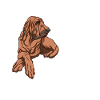 Bloodhound Dog Bloodhound