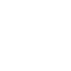 Swashbuckler pirate