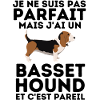basset hound 4
