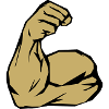 biceps