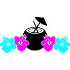 Hibiscus Kokus