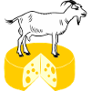 Goat white on cheese