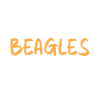 Beagle Gift Beagle Owner