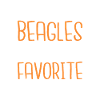 Beagle Gift Beagle Owner