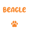 Beagle Gift Beagle Owner