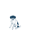 Beagle Gift Beagle Owner
