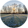 Winter sun