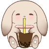 Adorable Bunny Drinking Boba